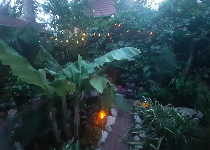 House W Little Tropical Garden