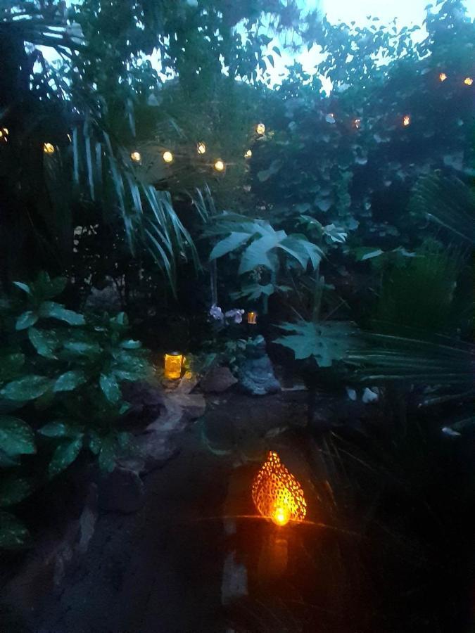 House W Little Tropical Garden Appartement