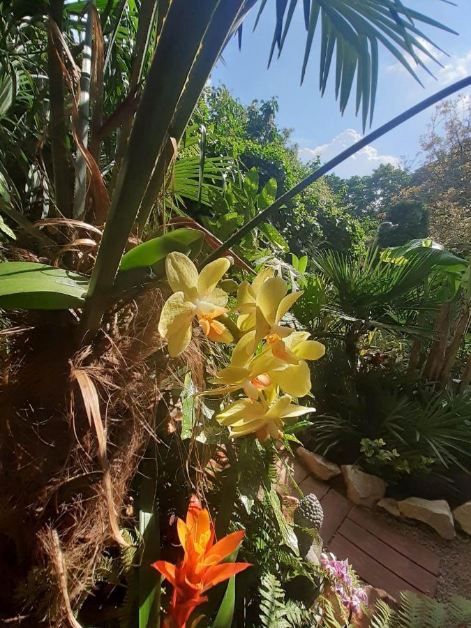 Appartement House W Little Tropical Garden *